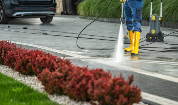 Best Driveway Pressure Washing  in Palouse, WA